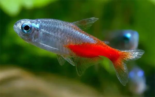 ���^�^���~