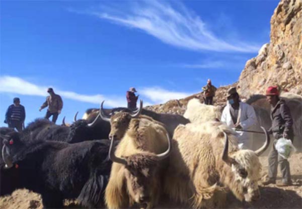 ����(w��)������������ֻ��ϲ�g�㡷