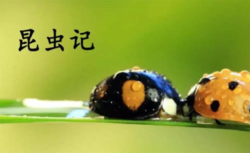 �����xӛ���x���400��