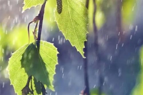 ���䵽����ȥ