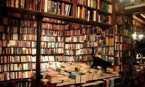 �u�ϕ����x���