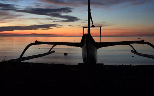 �x�����w���и�