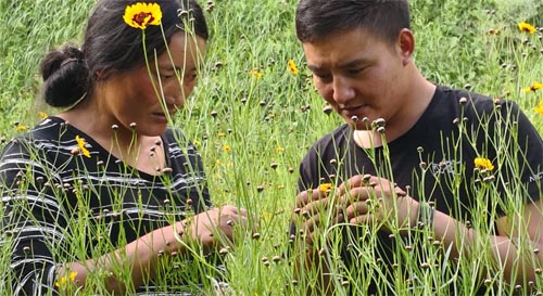 �_�ɼӈ�(ji��n)�ظ�ԭ���d,����ɽ��Óؚ