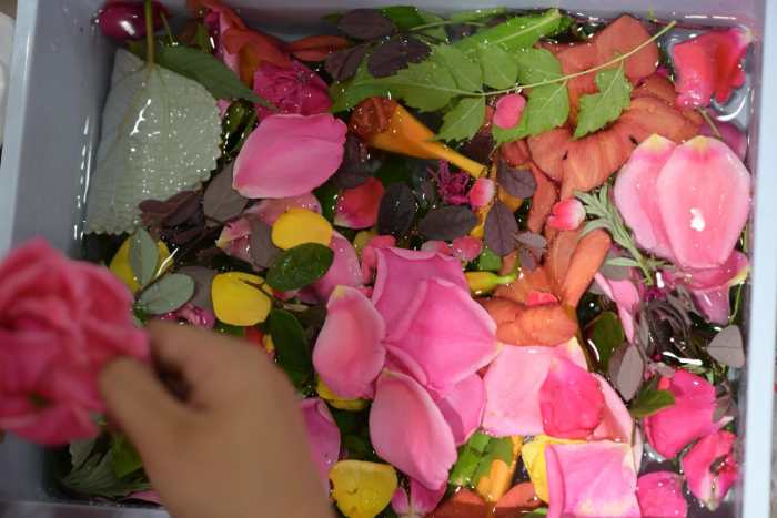 ���tˎ��ֻ����G�����`����M��̖���^��ֲ����ӡ�L��Ȼ���h������������