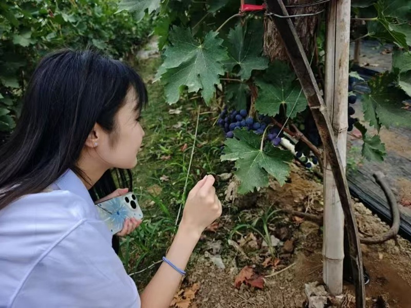 ���L�����������`�����r| ������L֪���a���҈@���L��