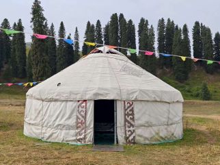 ���������ԭ�������������塪��һ���͹��_����ַ���