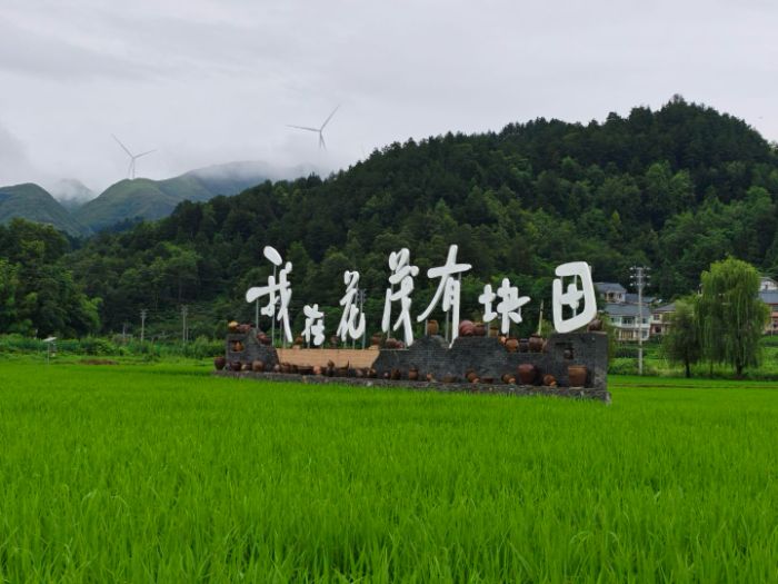 ���ഺ֮�������l�����d��ƪ�£��A���r��W�����M���x��ï���{�Ќ��`�o��