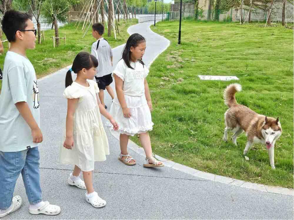 ����ʩ�̣������o��